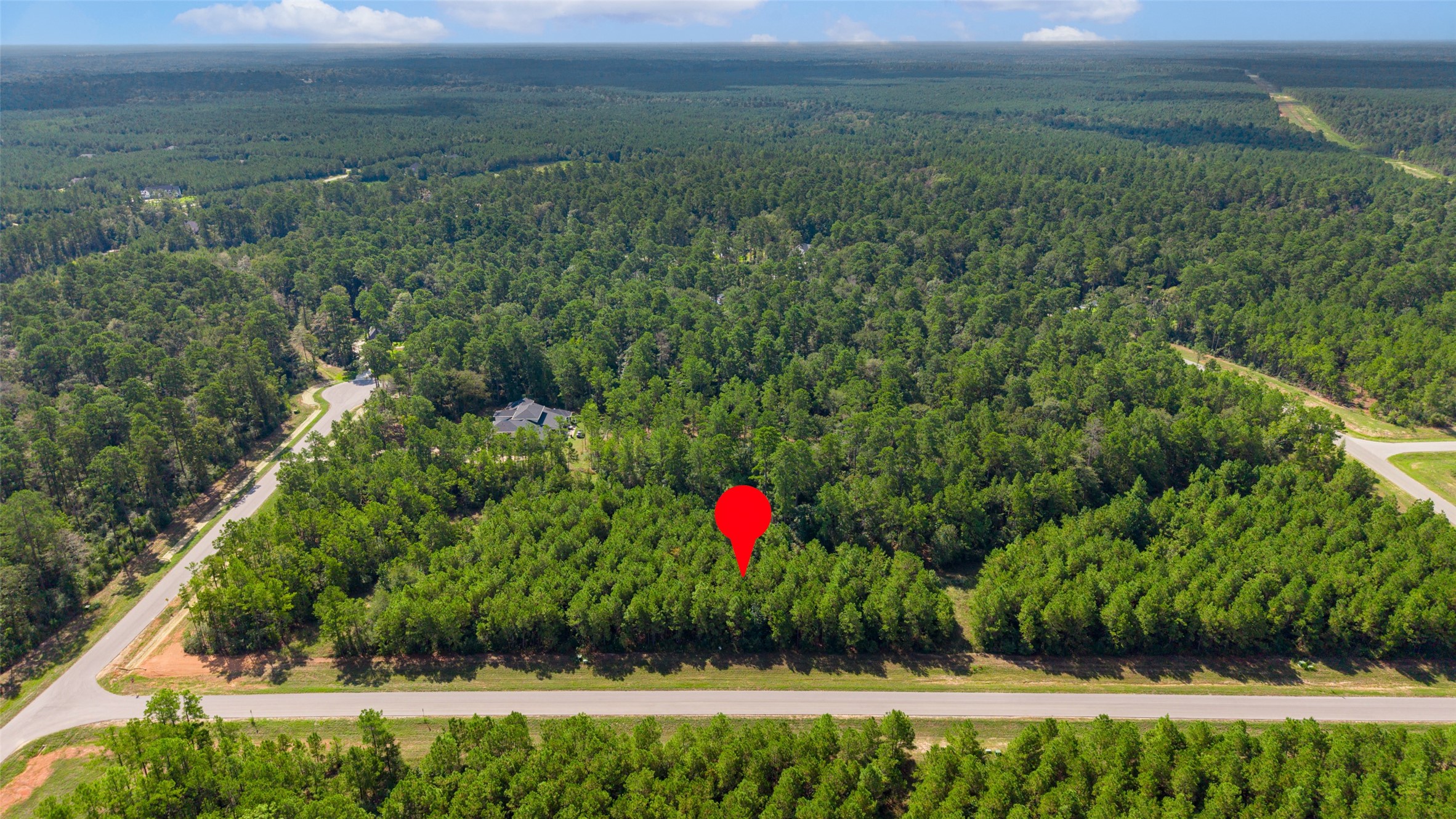 12920 Spacewood Pass Property Photo 3