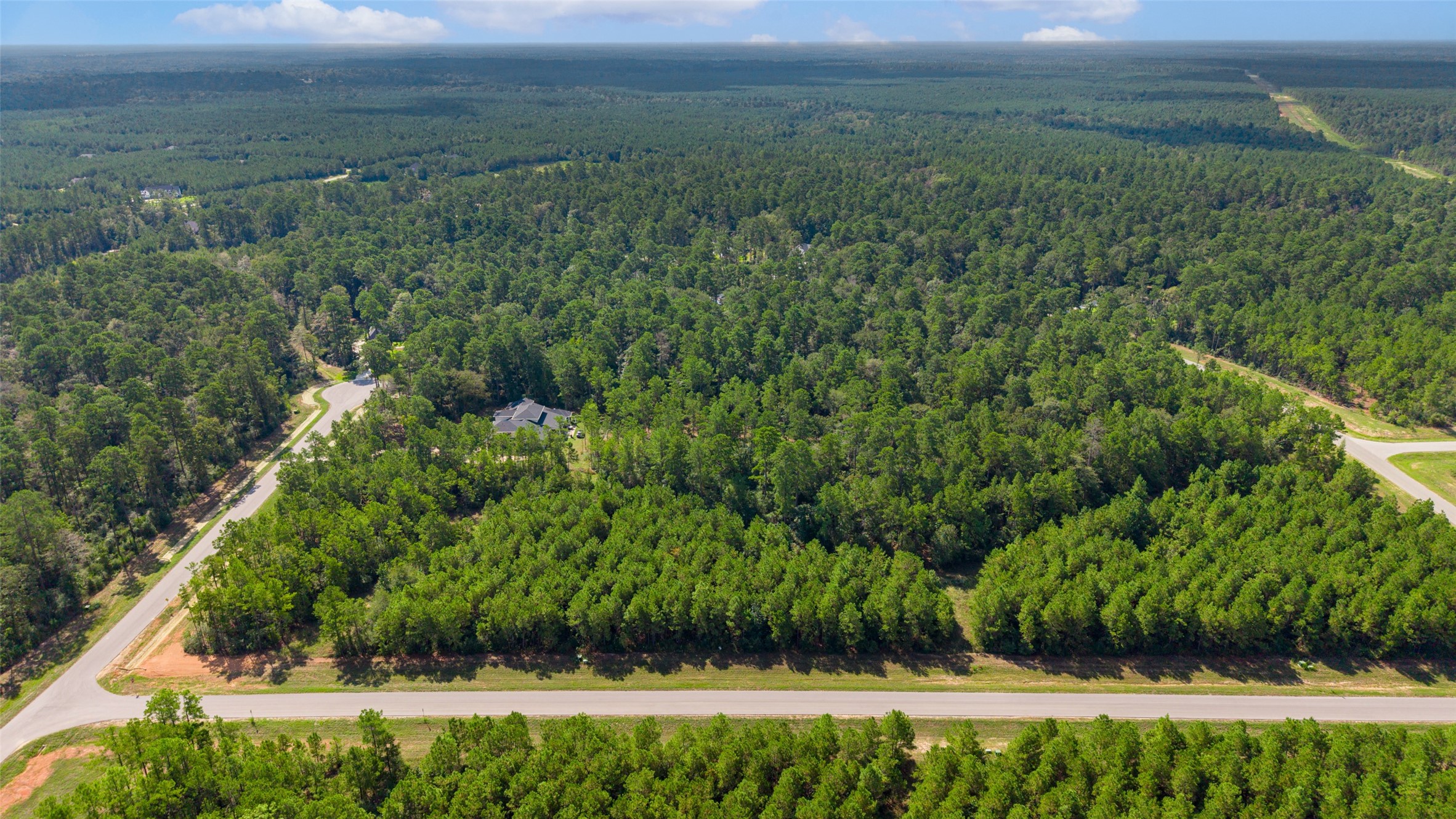 12920 Spacewood Pass Property Photo 4