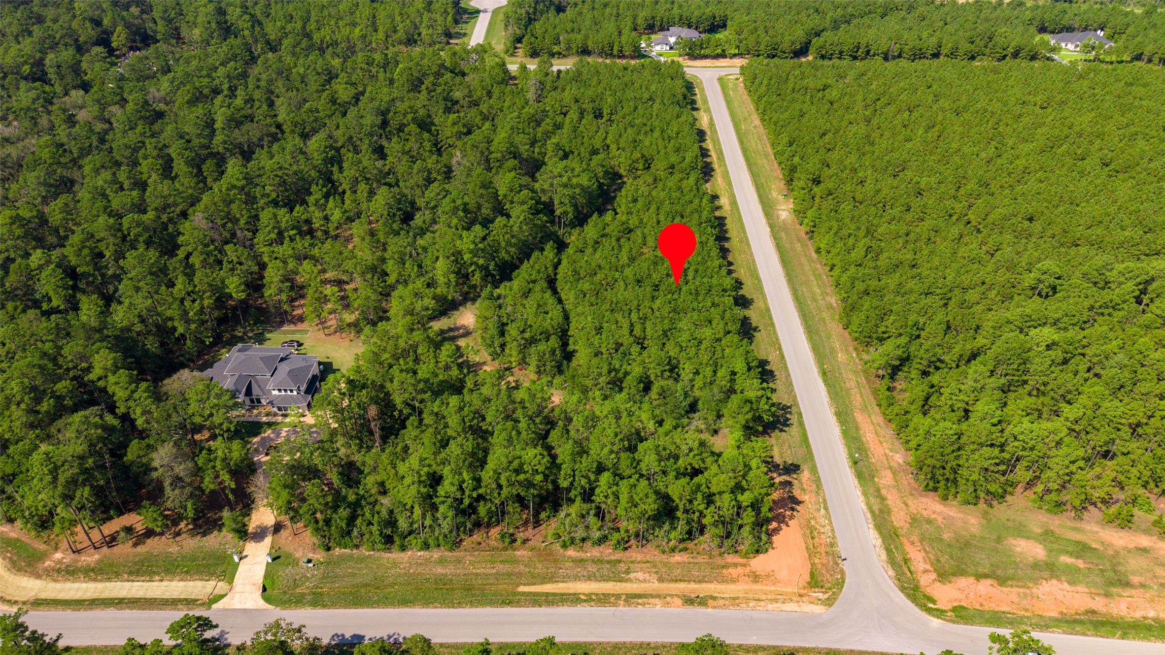 12920 Spacewood Pass Property Photo 5