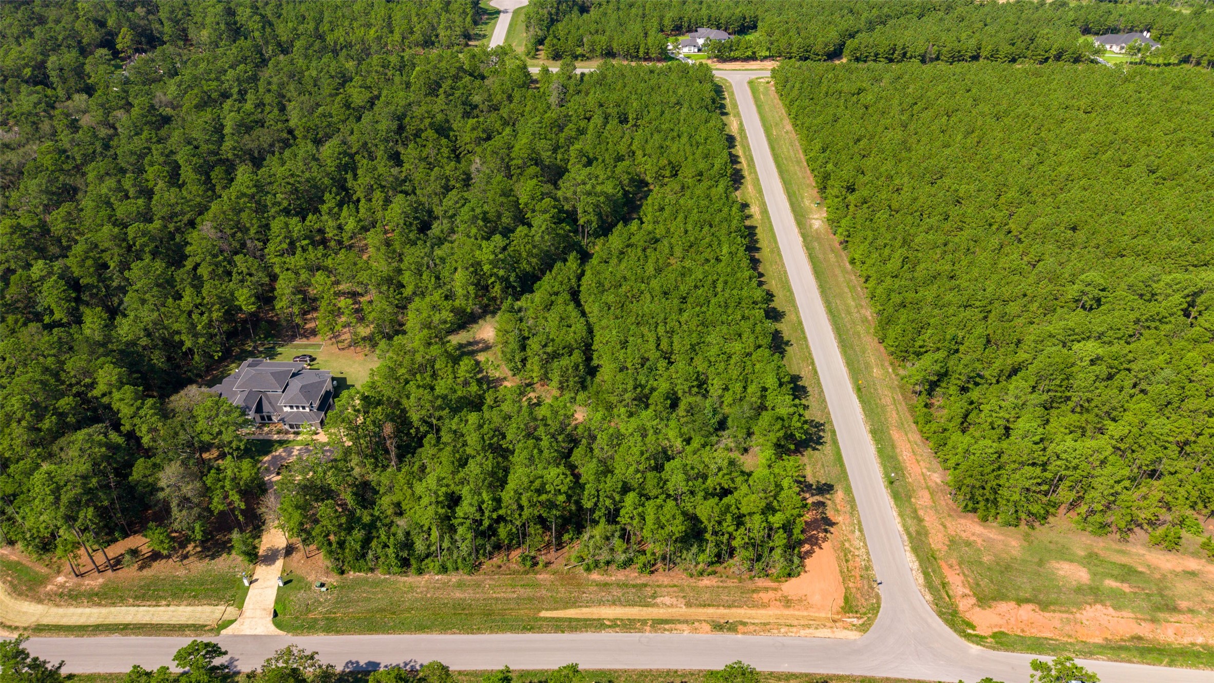 12920 Spacewood Pass Property Photo 6