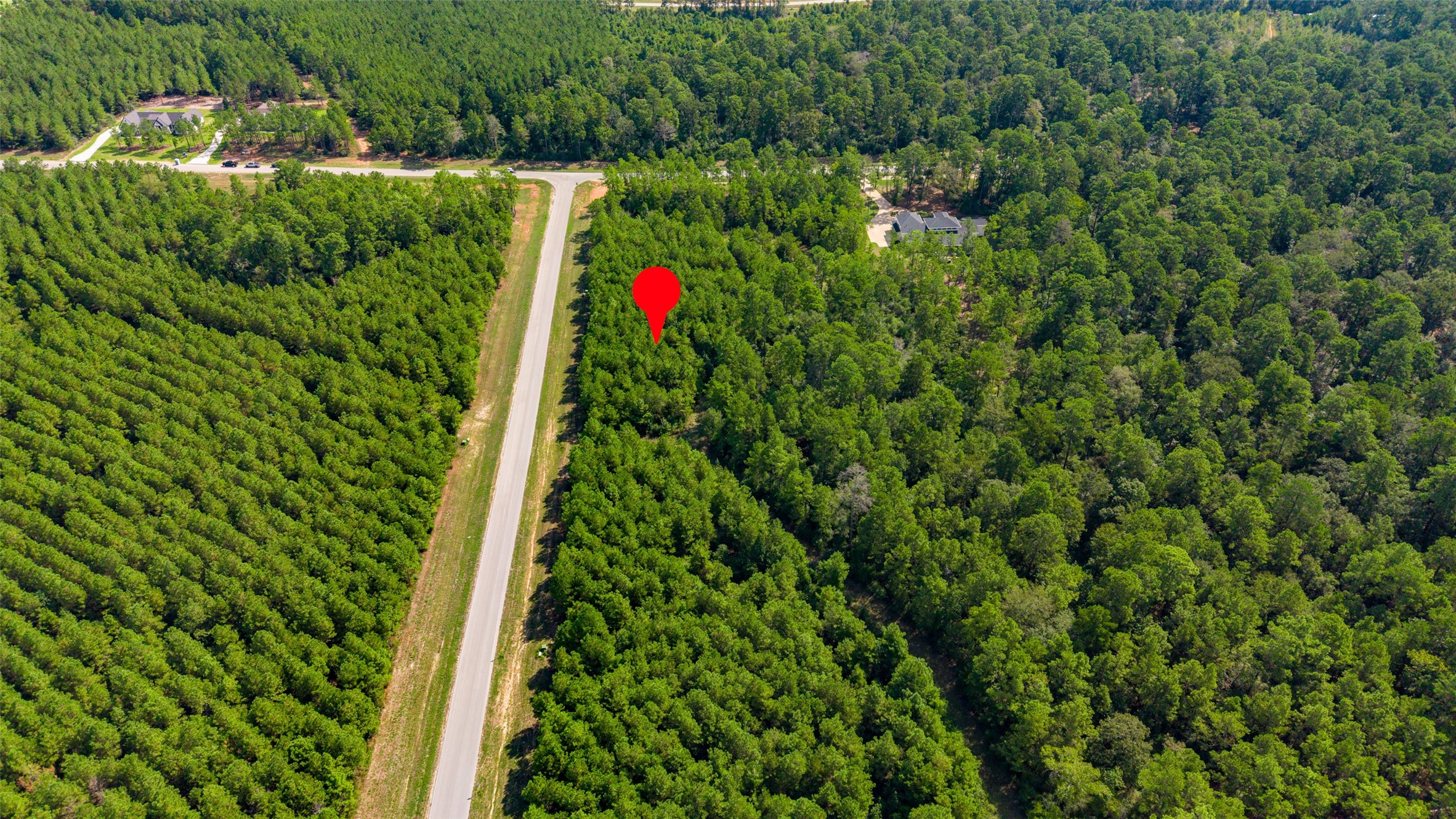 12920 Spacewood Pass Property Photo 7