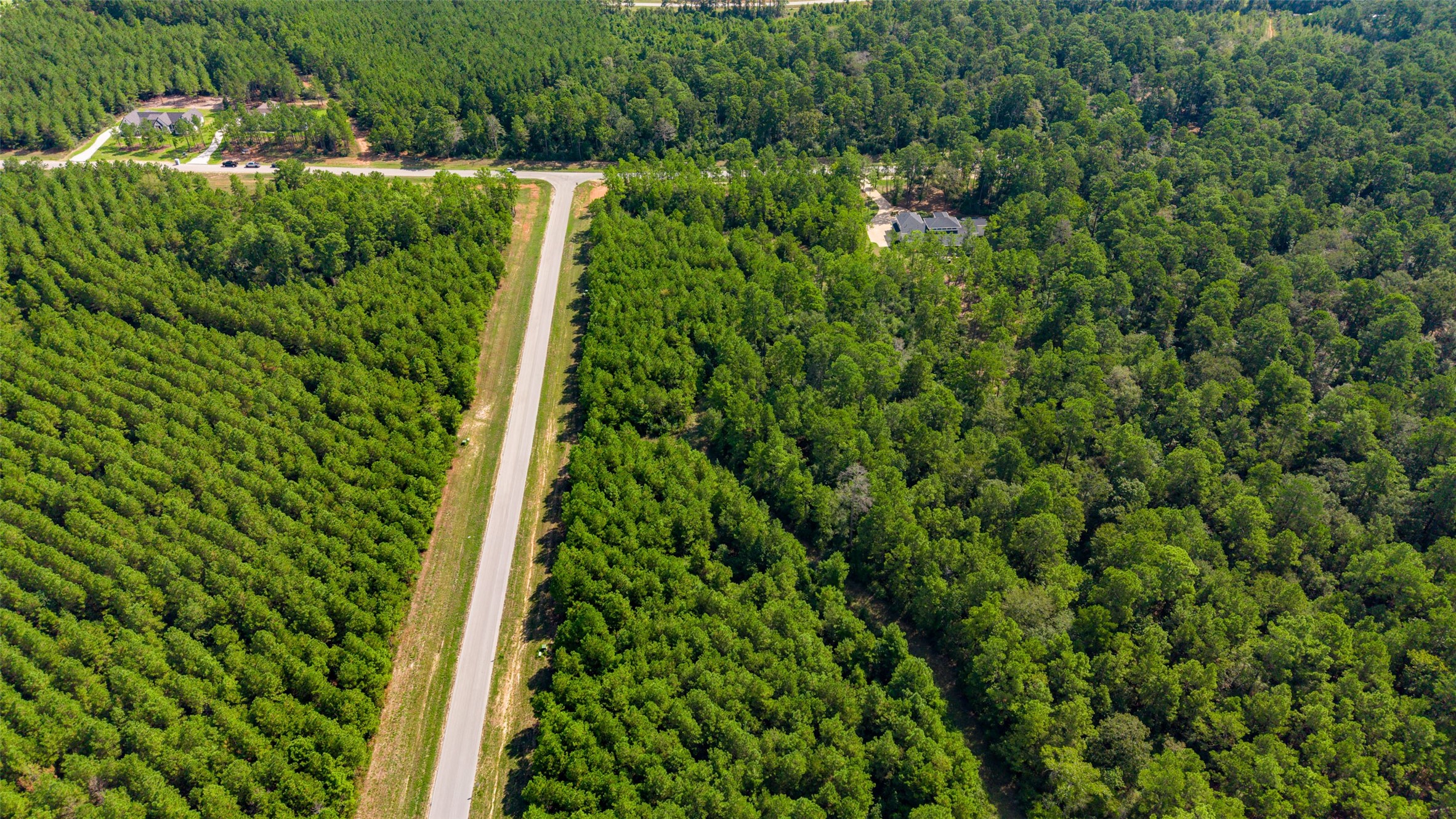 12920 Spacewood Pass Property Photo 8