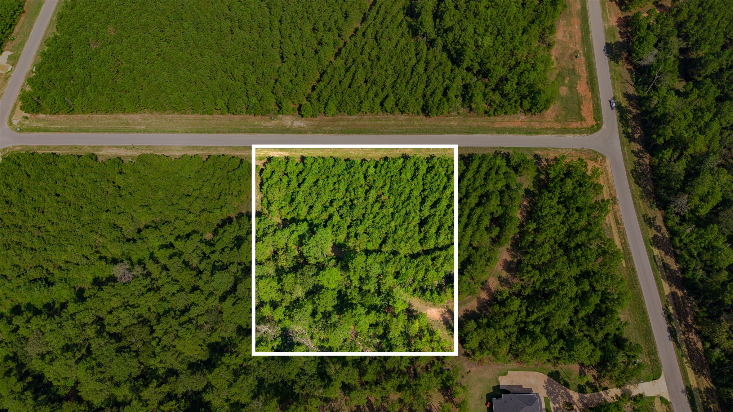 12920 Spacewood Pass Property Photo 9