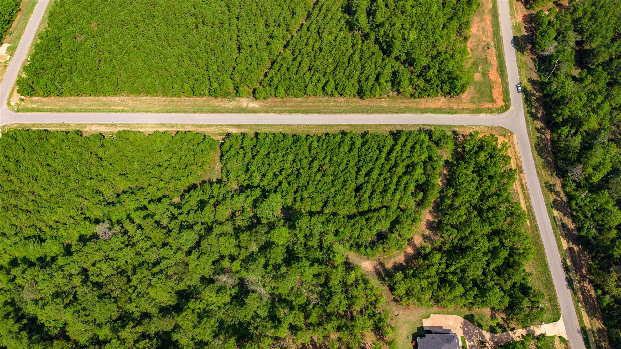 12920 Spacewood Pass Property Photo 10