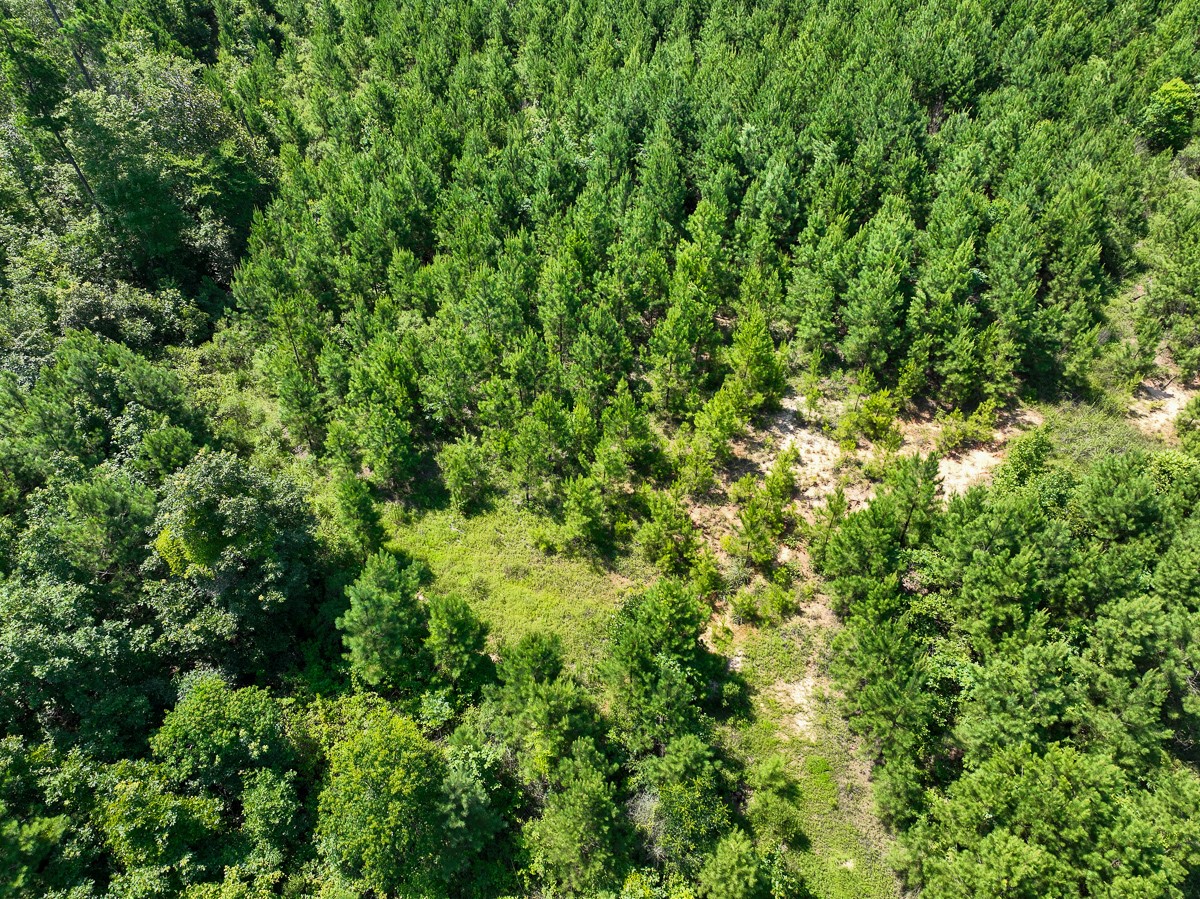 010 Carters Ferry Road Property Photo 1