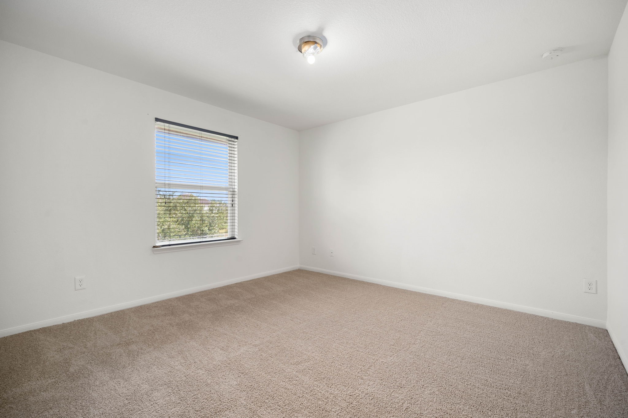 3515 Curley Maple Drive Property Photo 36