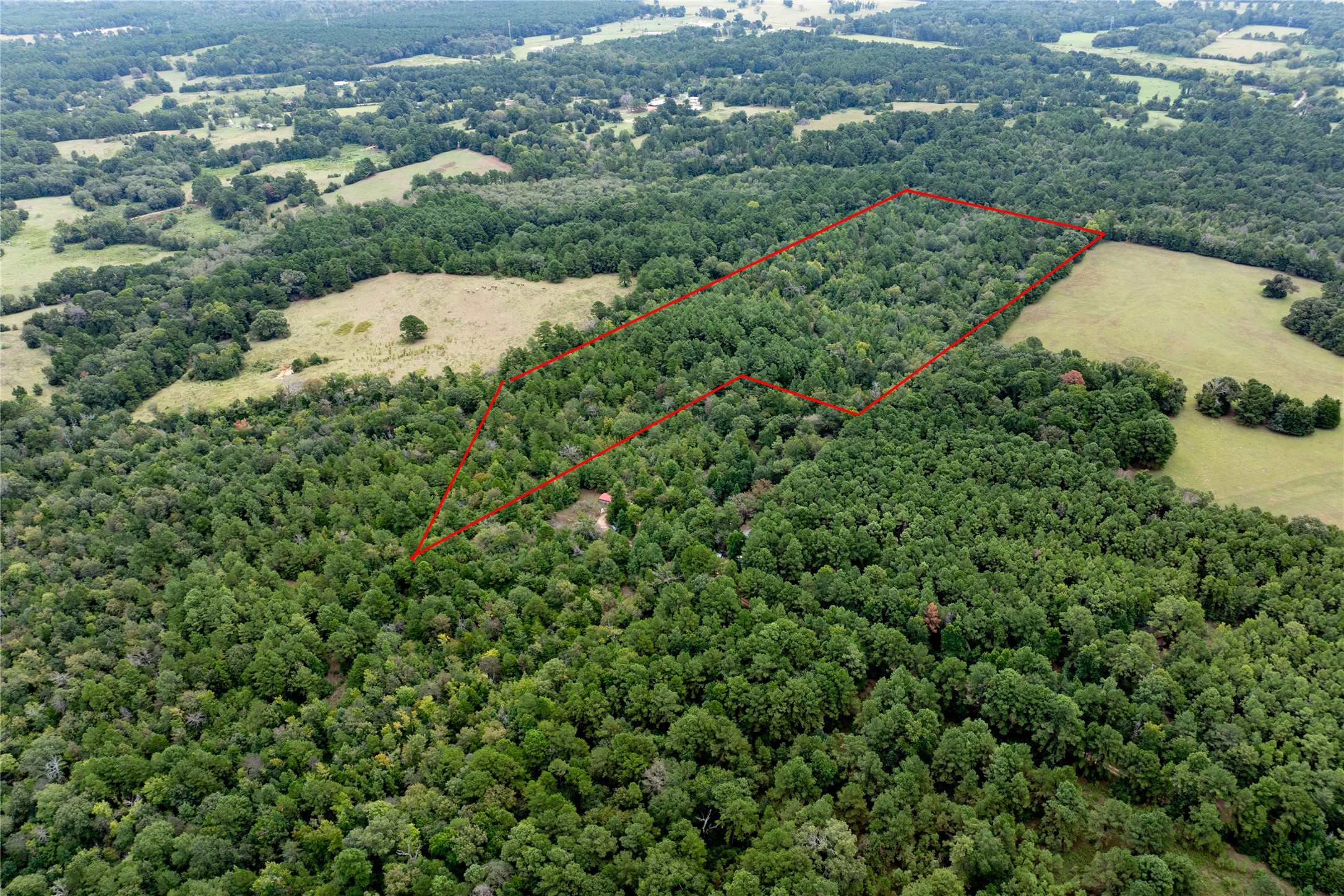 22 Acr Private Road 5040 Property Photo 1