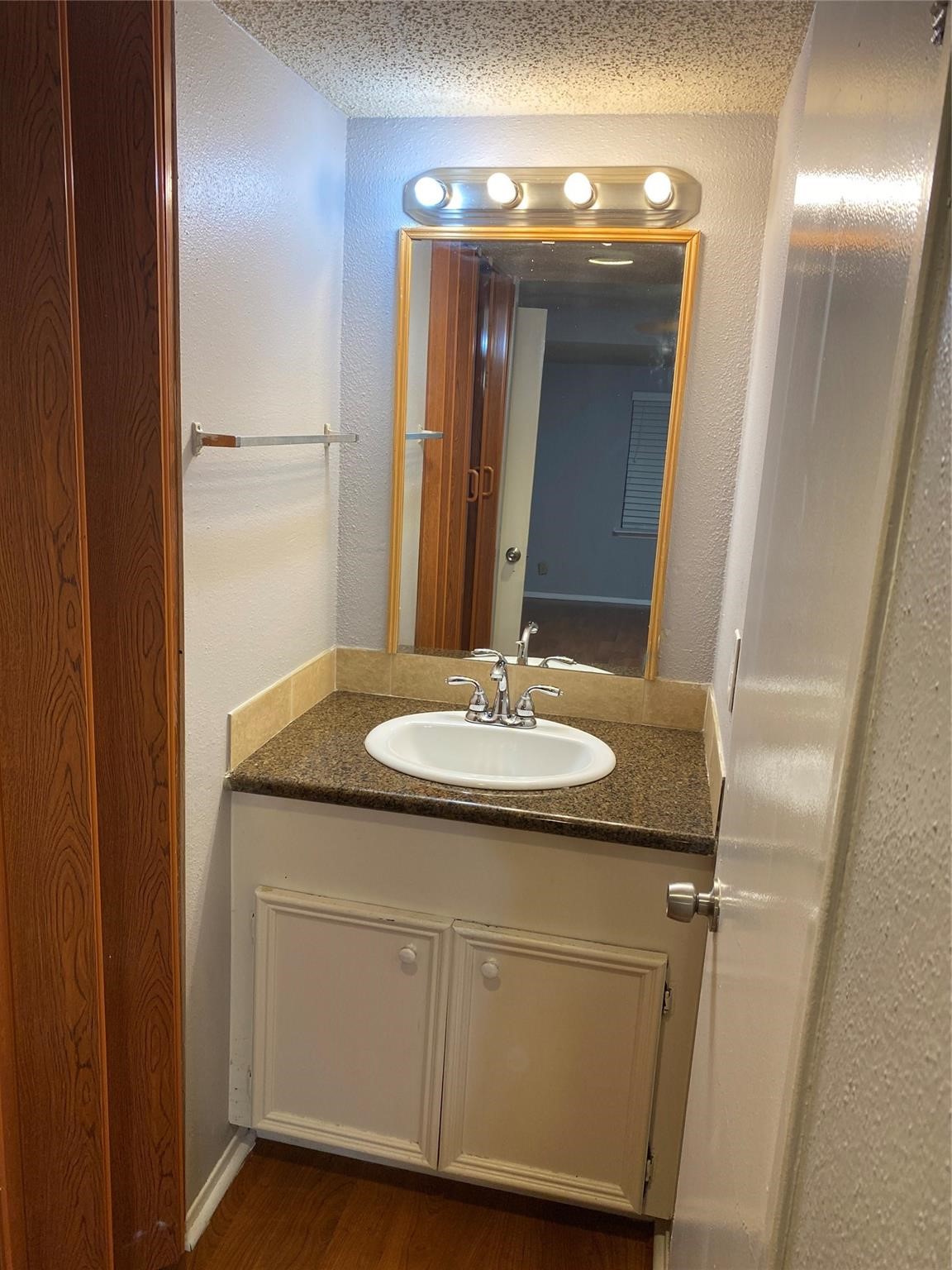 12008 Mighty Oak Drive Property Photo 13