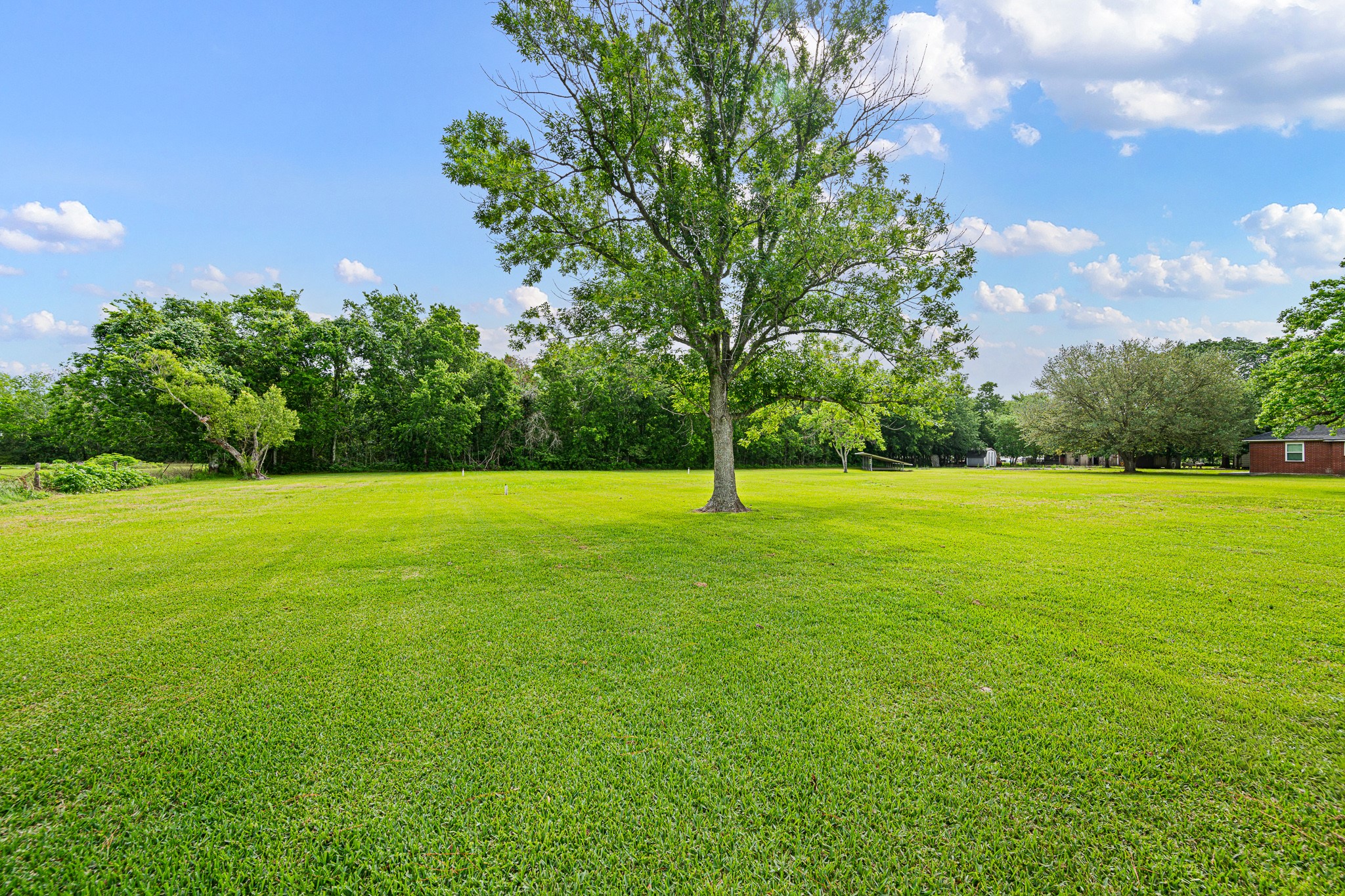 10521 Mary Lane Property Photo 2