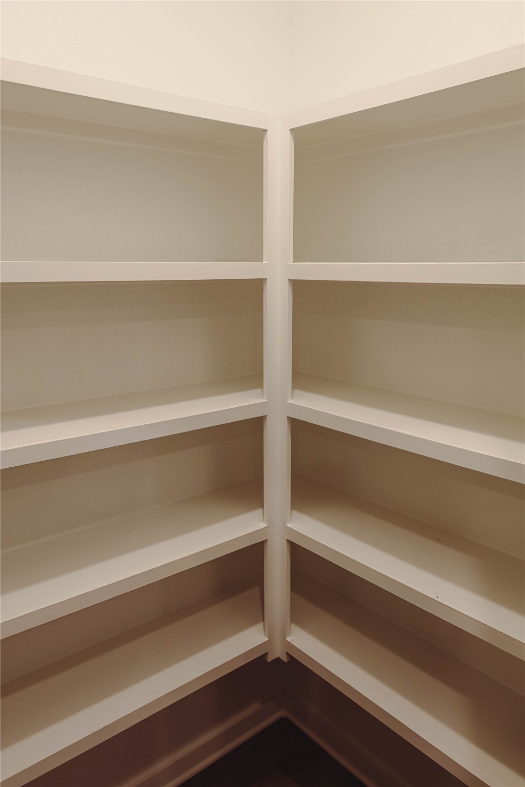 8583 Blueberry Ash St Property Photo 10