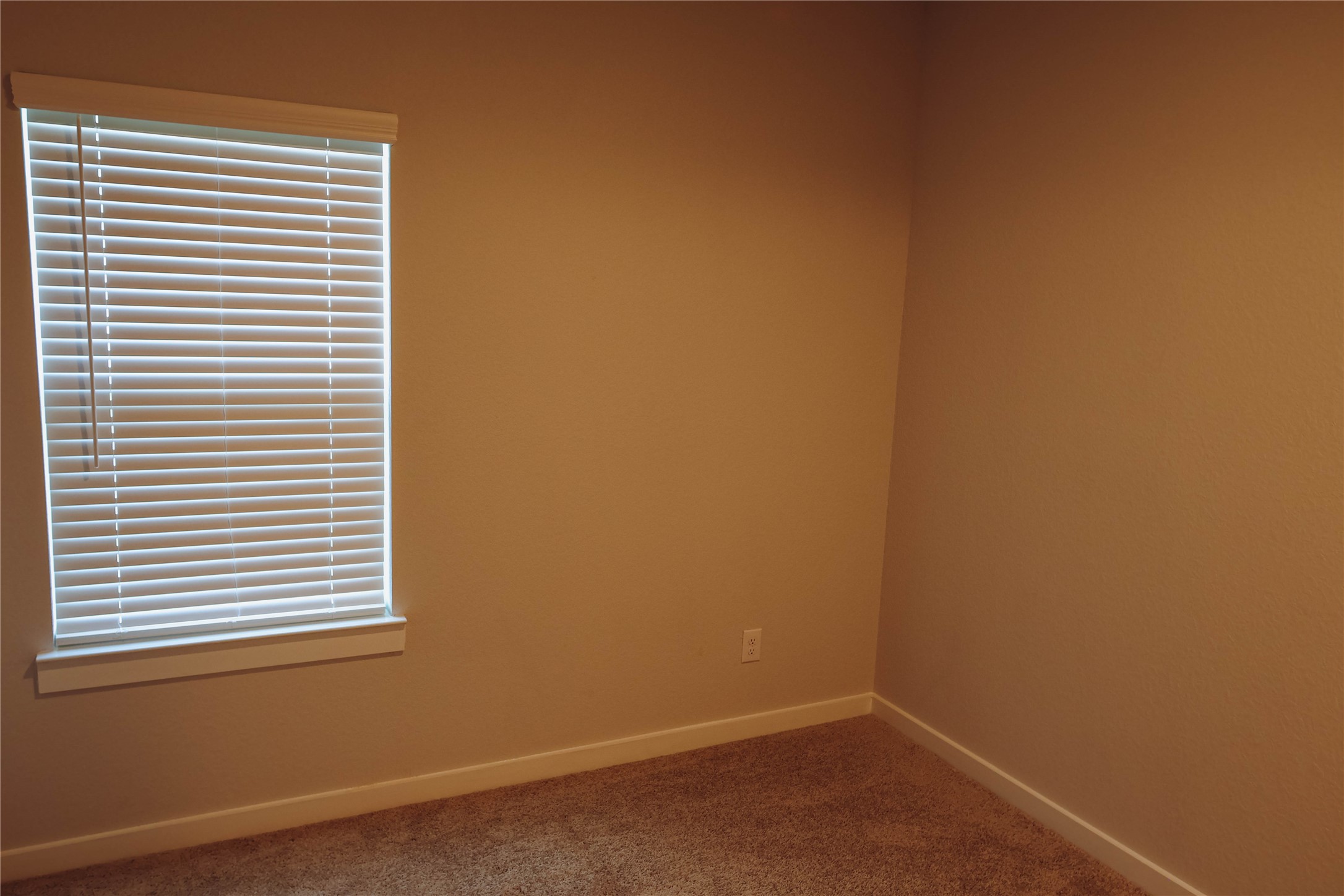 8583 Blueberry Ash St Property Photo 13