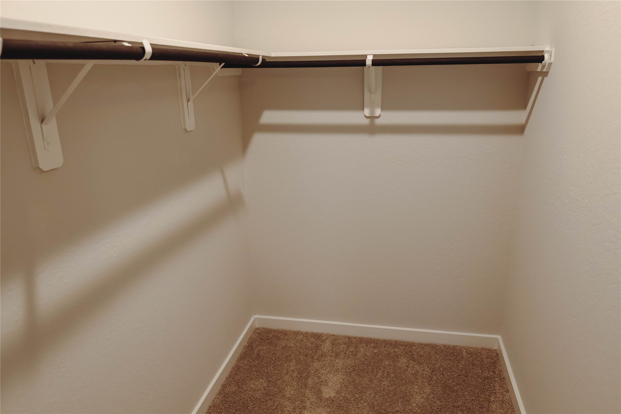 8583 Blueberry Ash St Property Photo 15