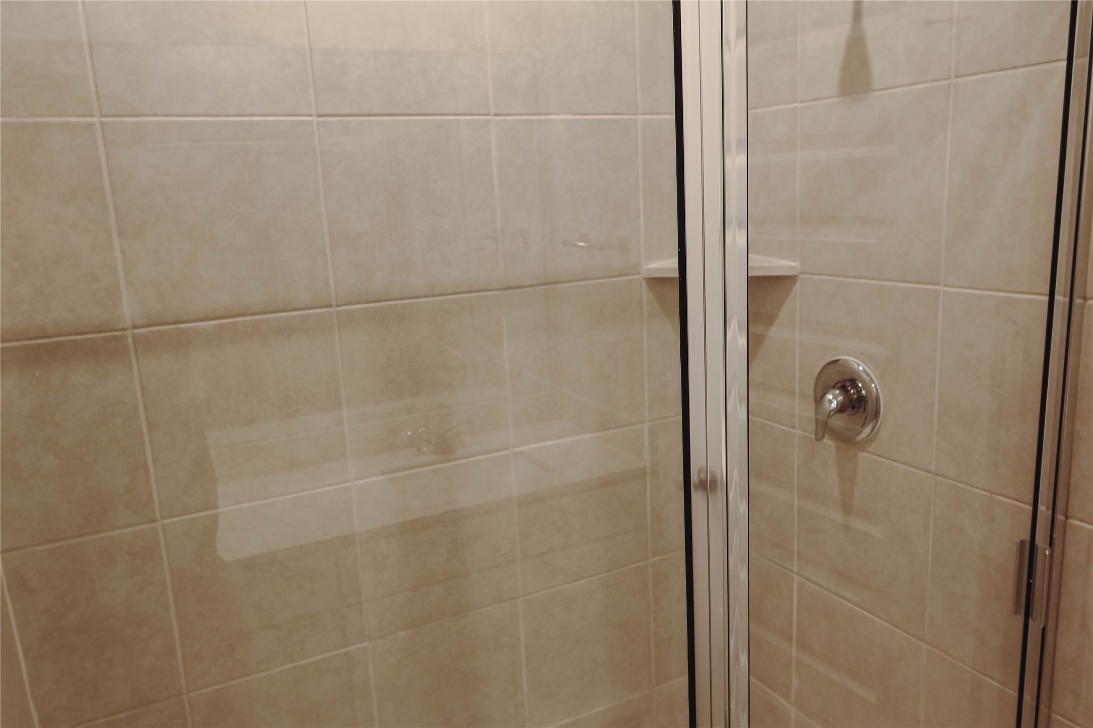 8583 Blueberry Ash St Property Photo 17