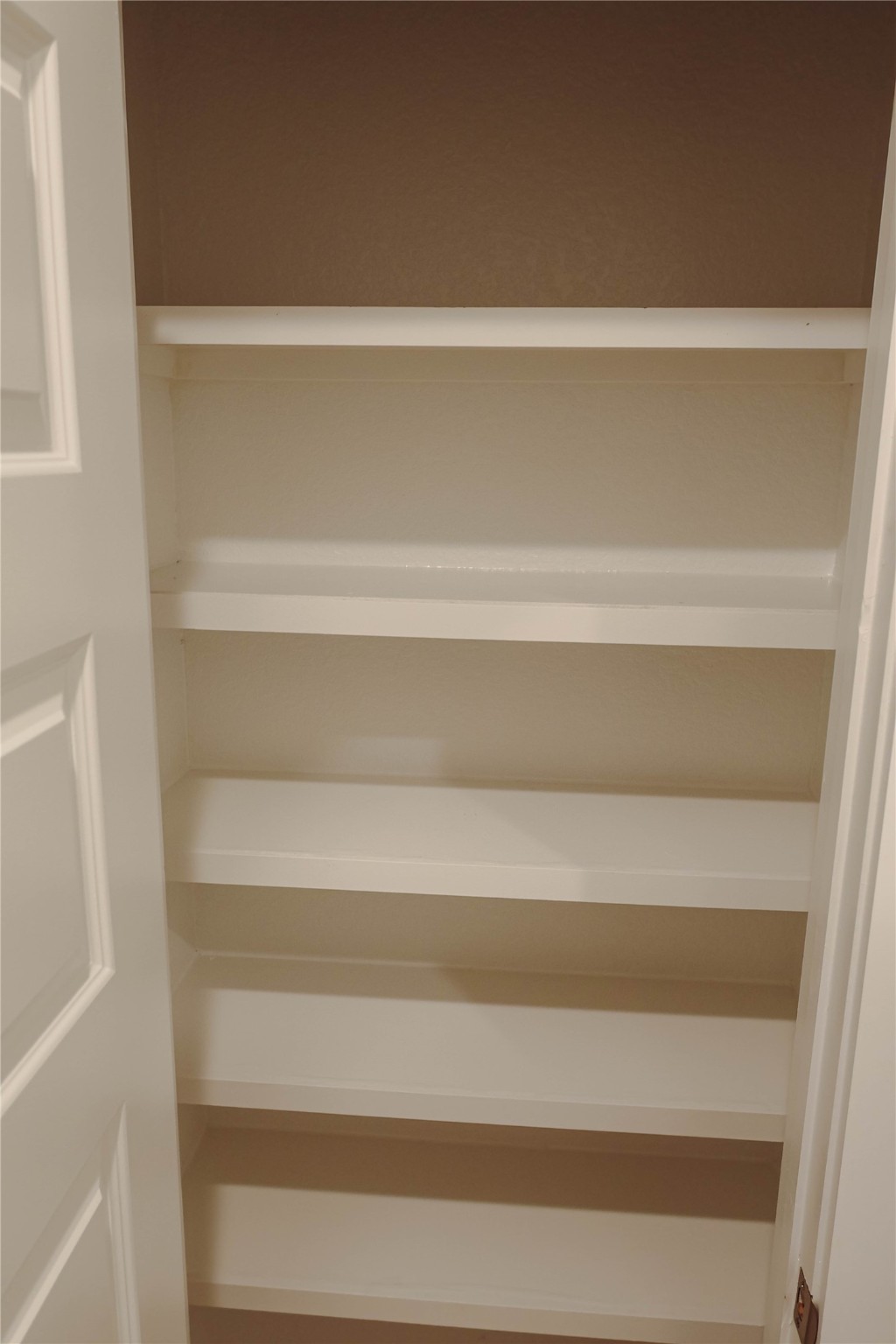 8583 Blueberry Ash St Property Photo 18