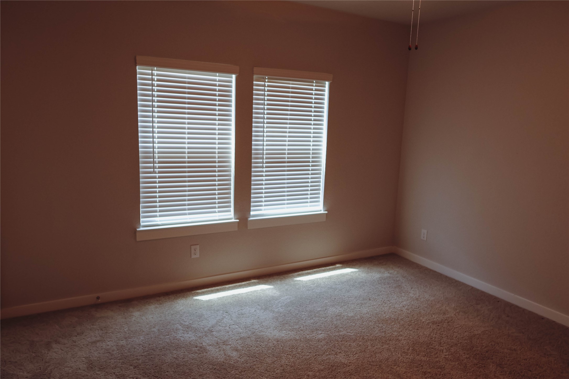 8583 Blueberry Ash St Property Photo 21