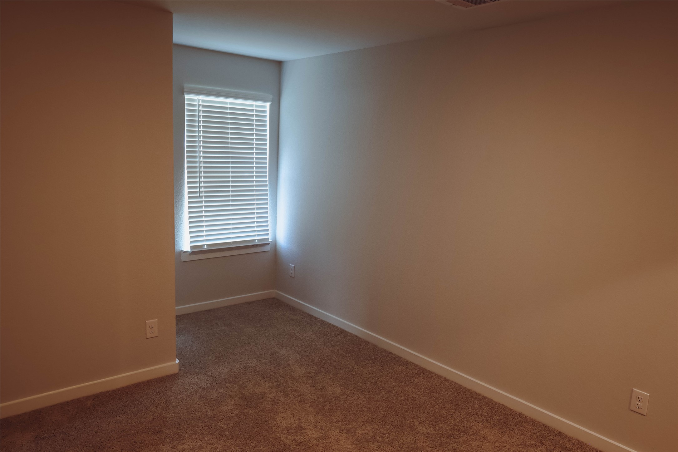 8583 Blueberry Ash St Property Photo 24