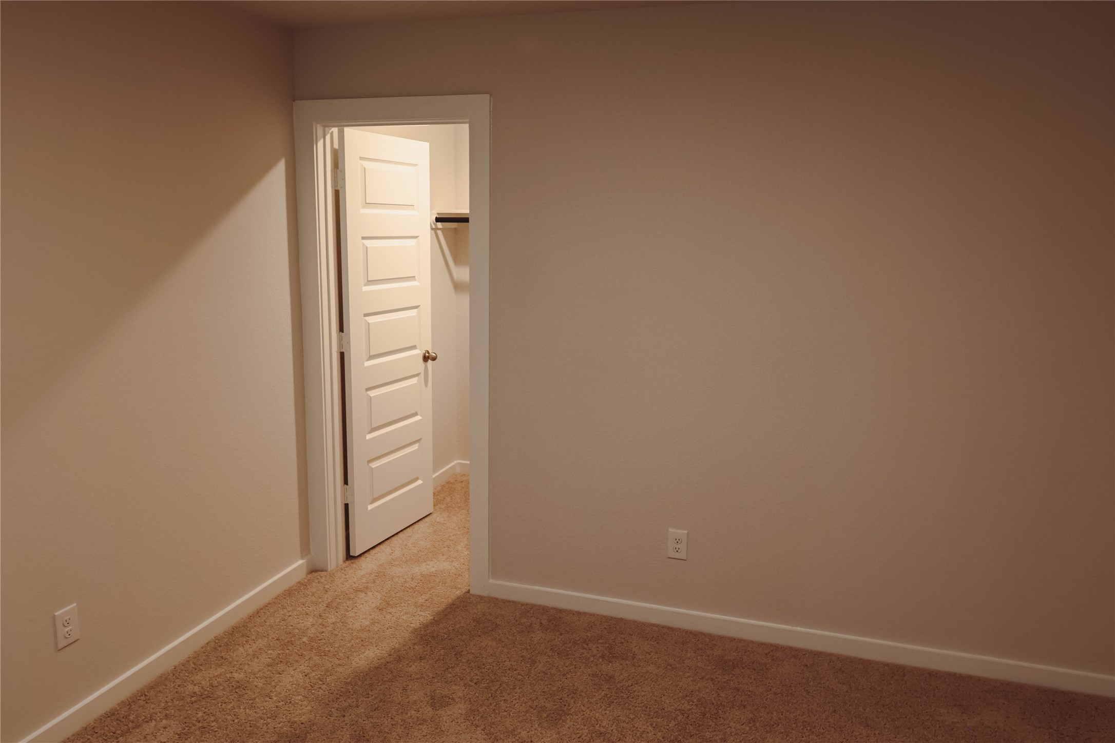 8583 Blueberry Ash St Property Photo 25