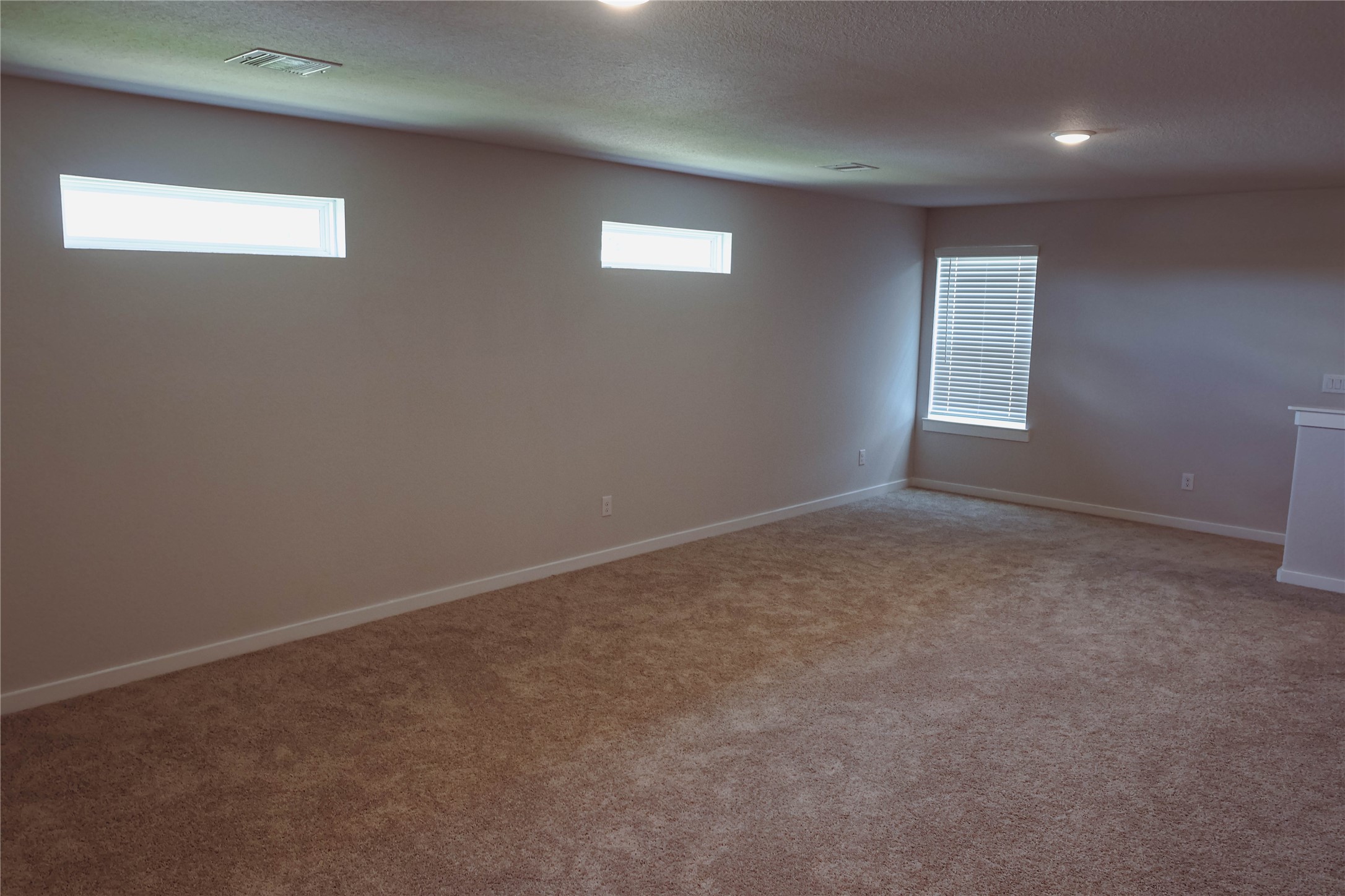 8583 Blueberry Ash St Property Photo 26