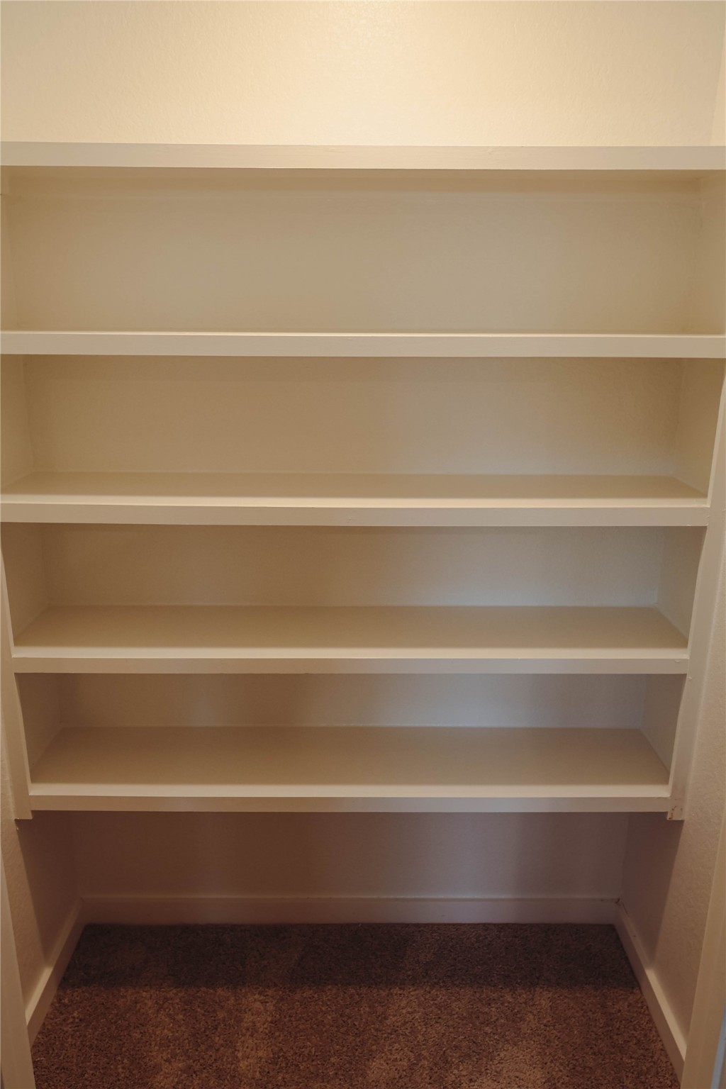 8583 Blueberry Ash St Property Photo 28