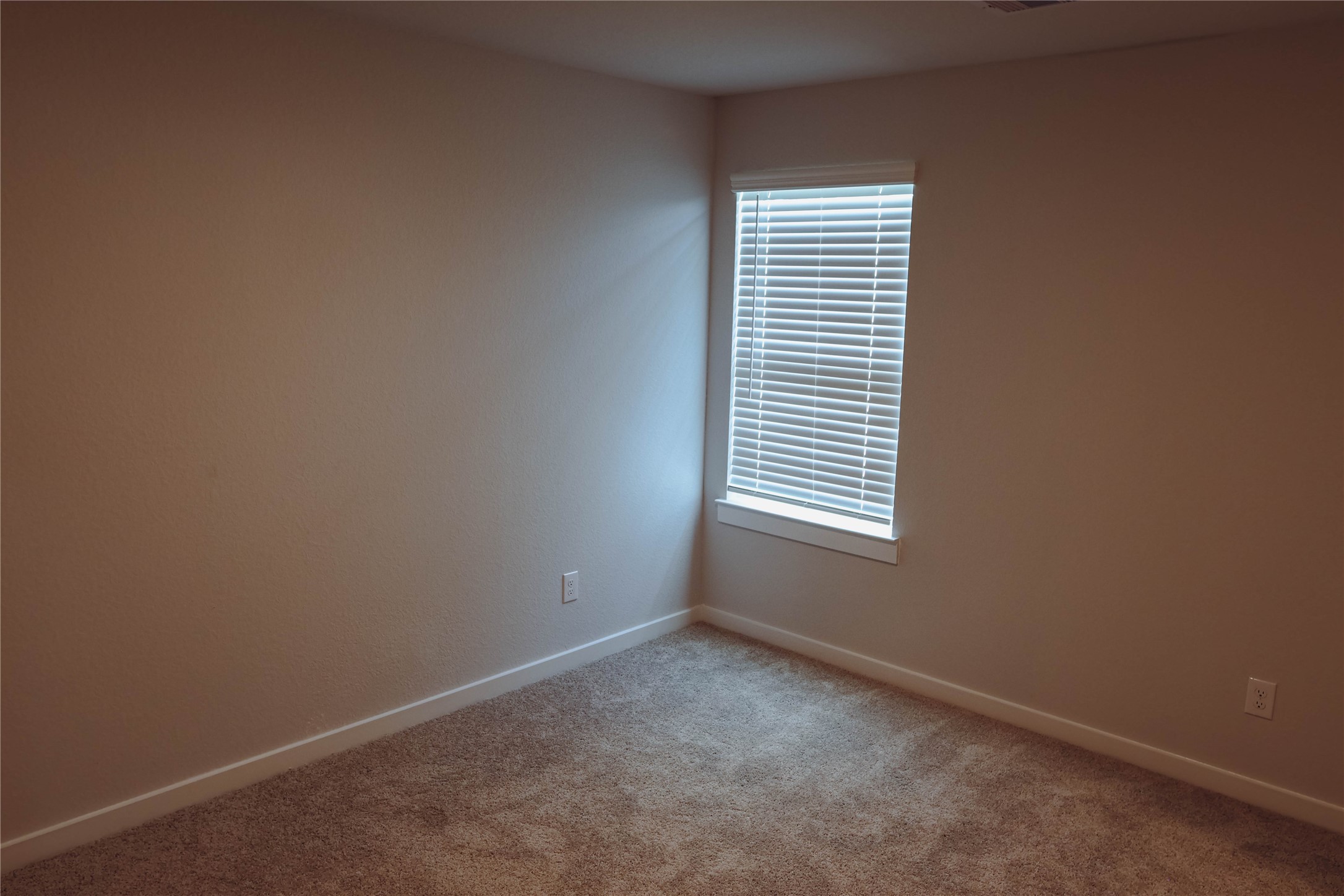 8583 Blueberry Ash St Property Photo 29