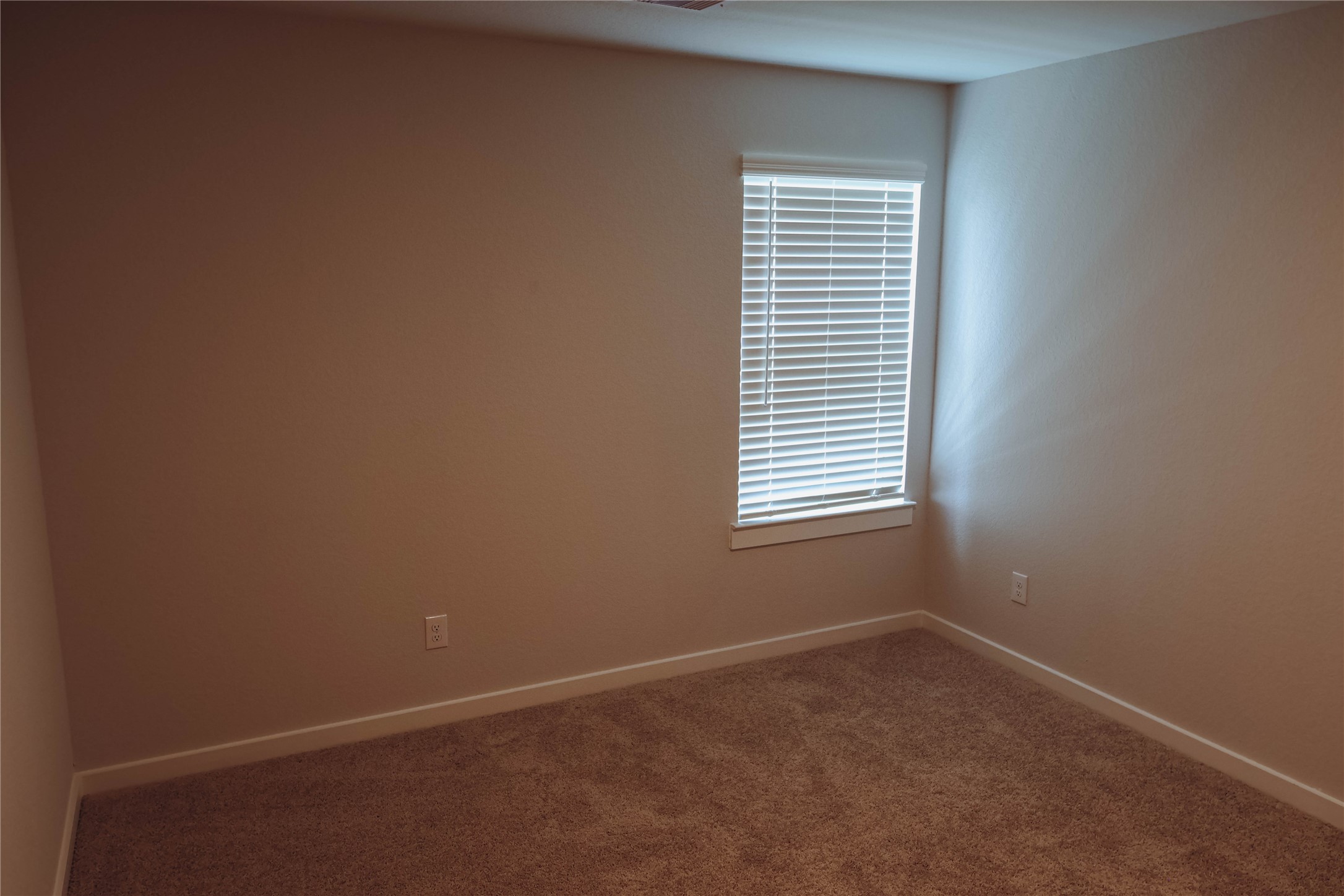 8583 Blueberry Ash St Property Photo 31