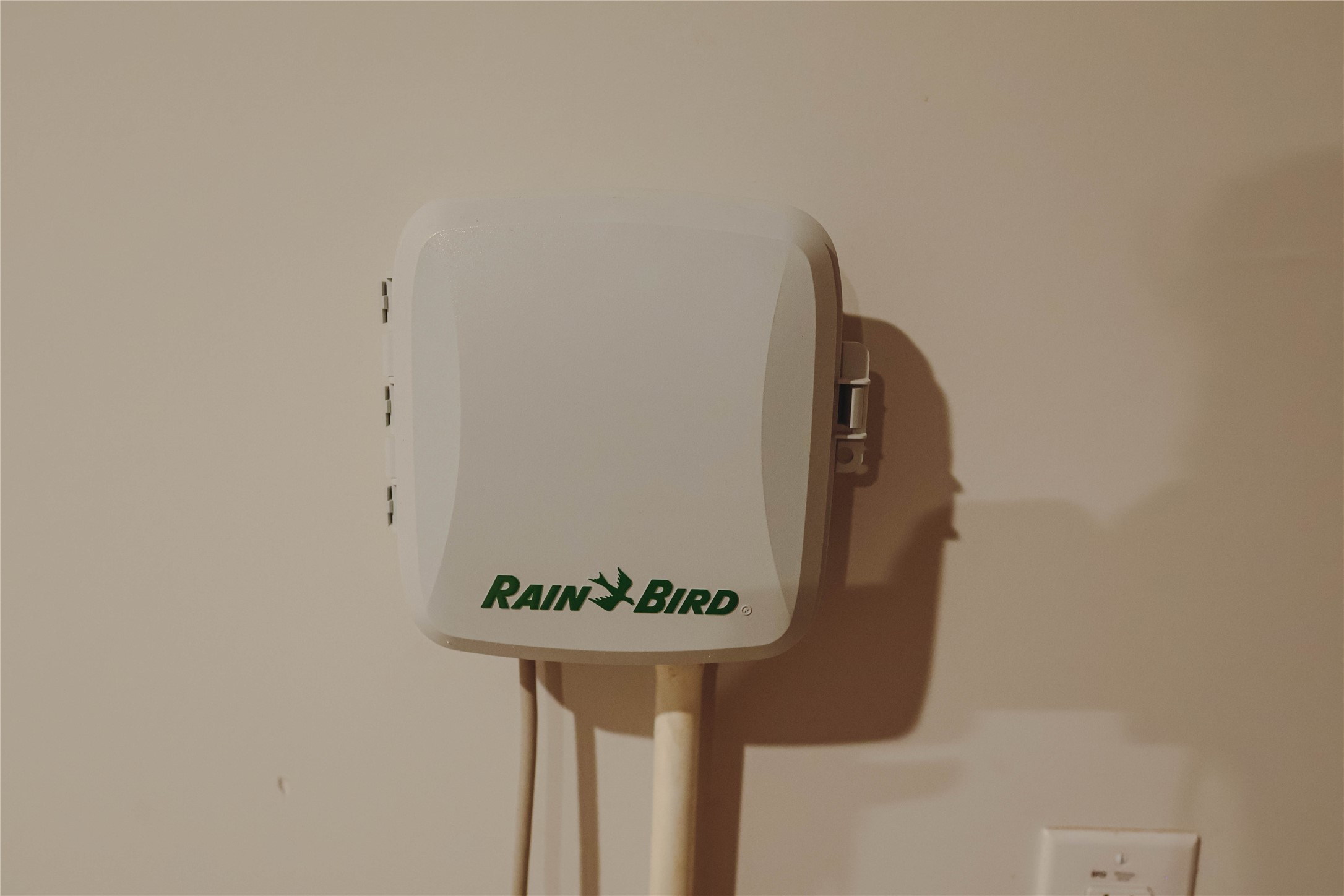 8583 Blueberry Ash St Property Photo 37