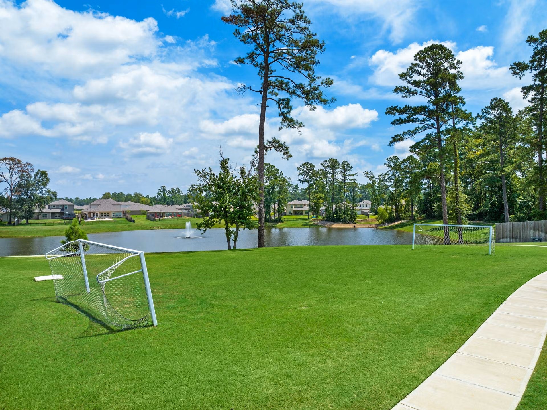 8583 Blueberry Ash St Property Photo 41