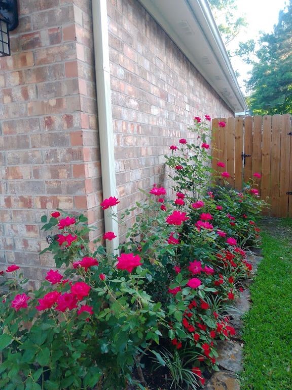 18719 Candle Park Drive Property Photo 9