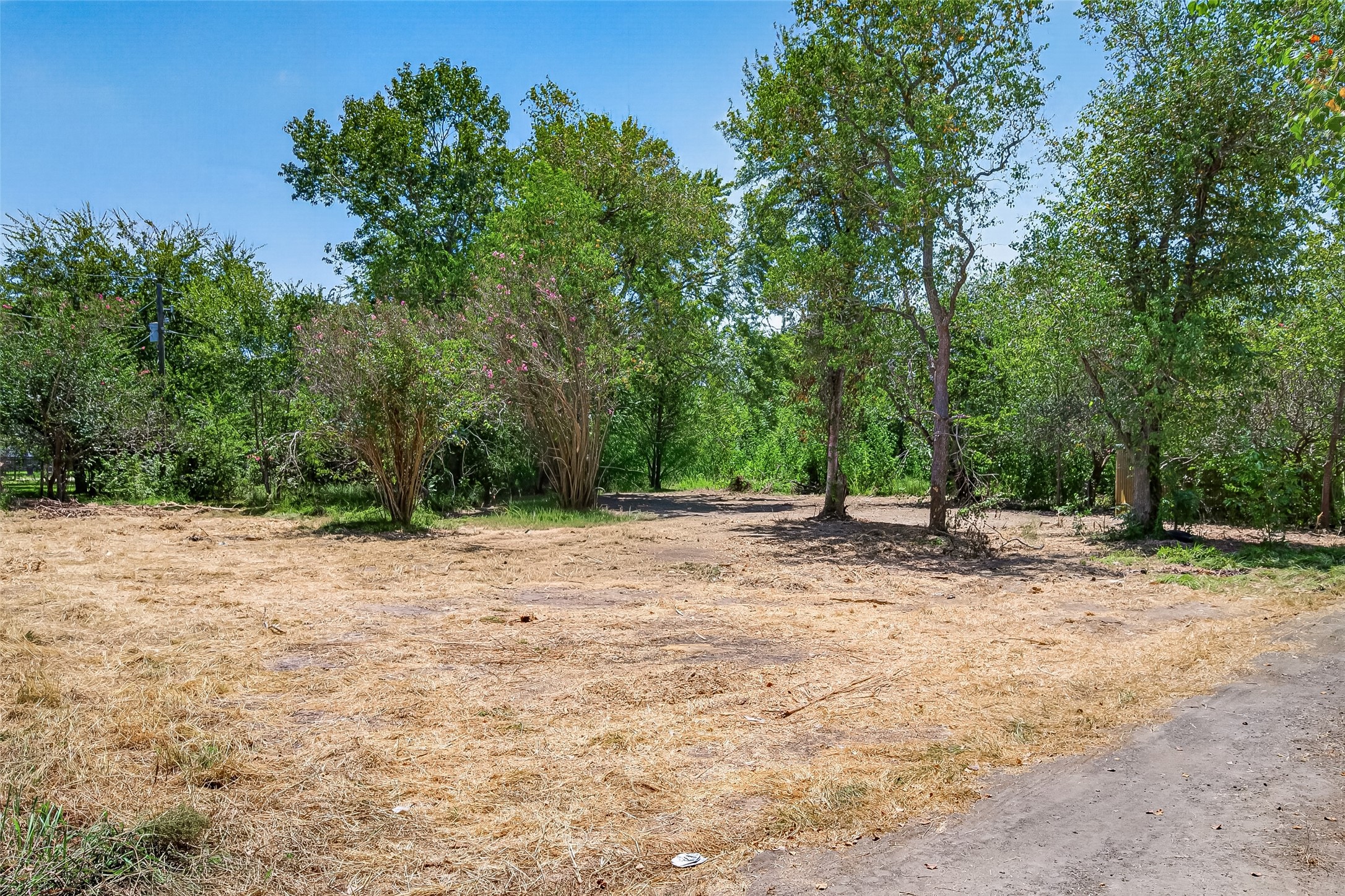 3126 Henson Road Property Photo 4