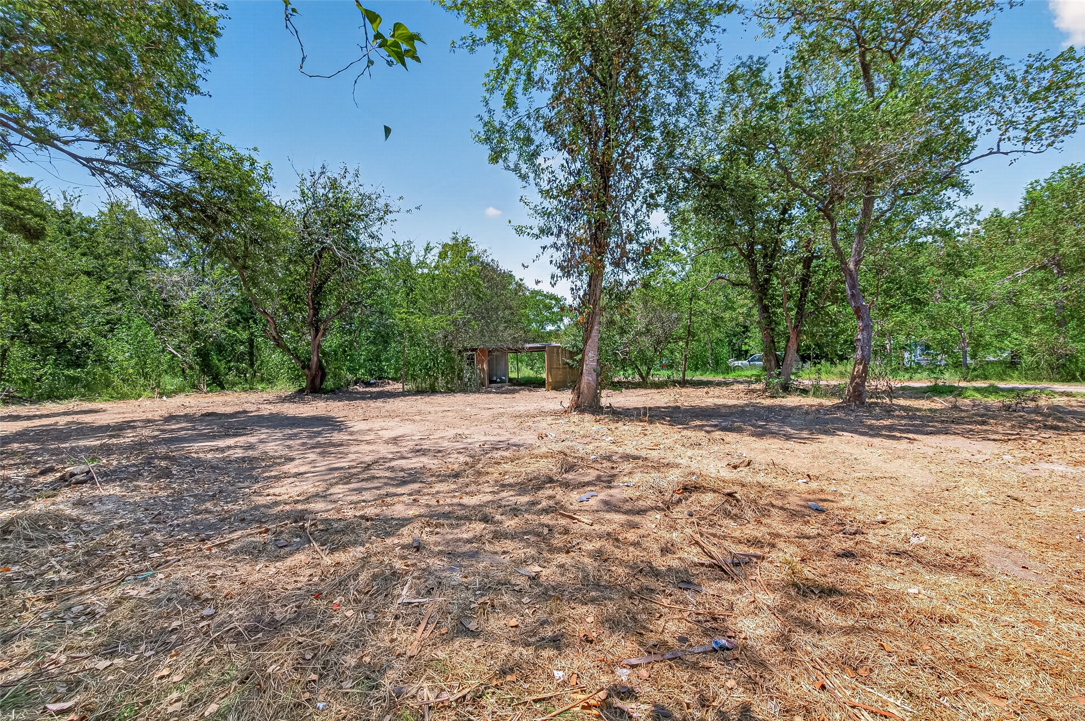 3126 Henson Road Property Photo 6