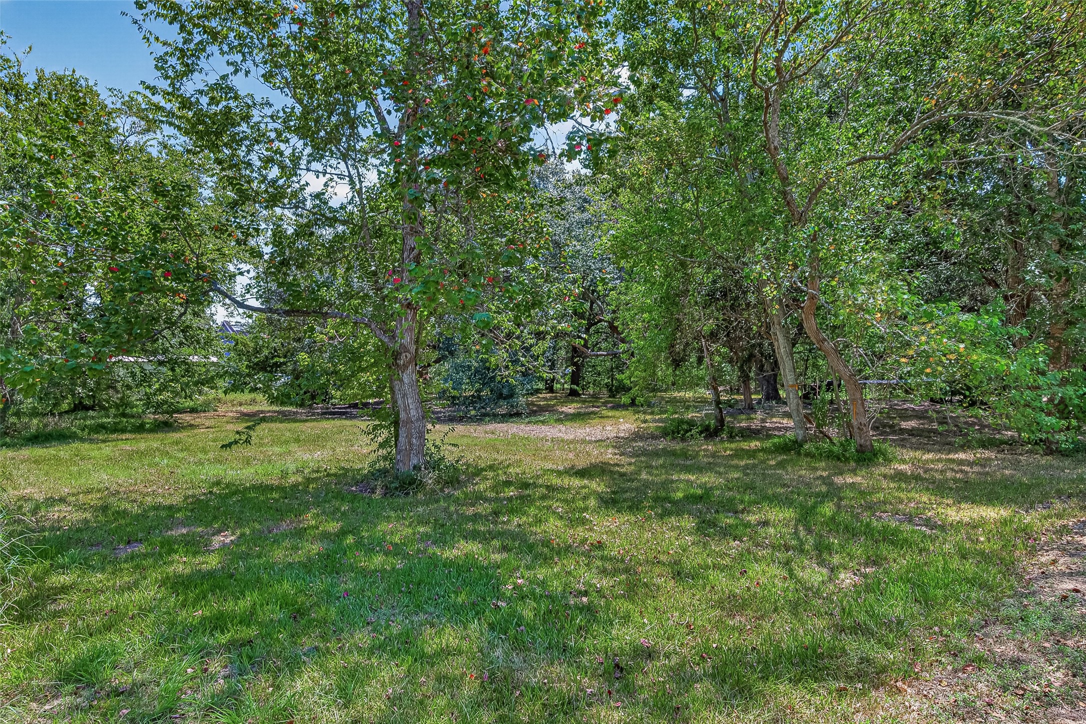 3126 Henson Road Property Photo 9