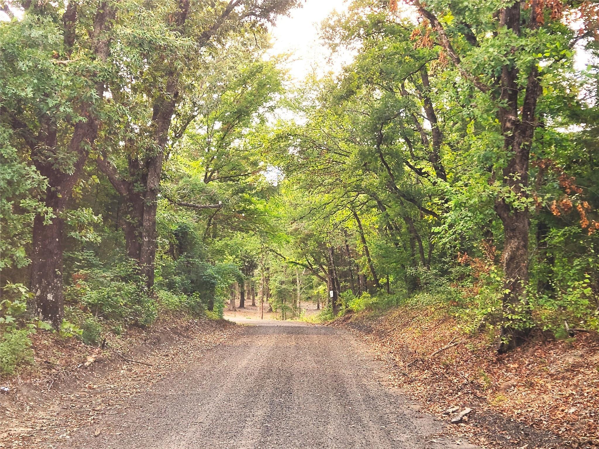 0 County Road 4710 Lot 465, Larue TX 75770