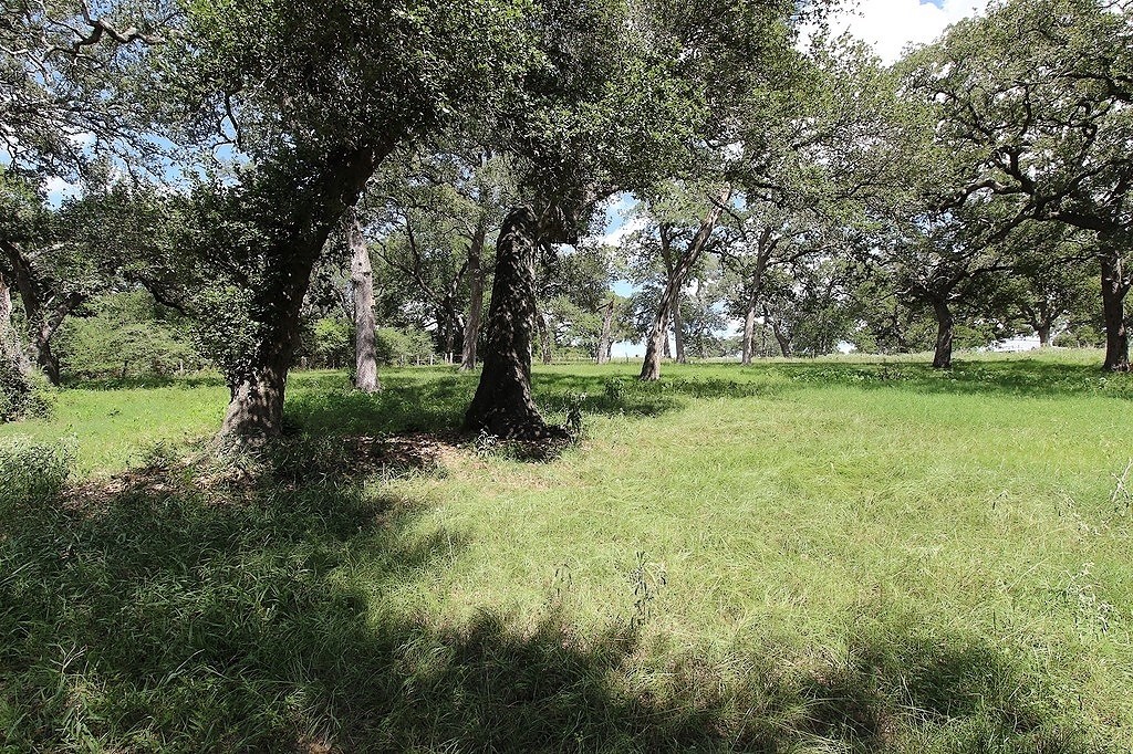 1801 Fm 1383 Property Photo 1