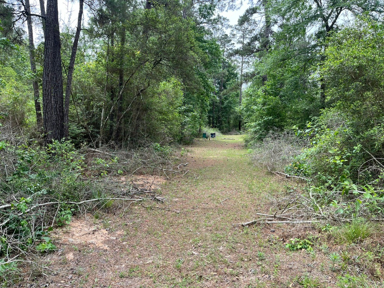 11544 Inspiration Drive Property Photo 1