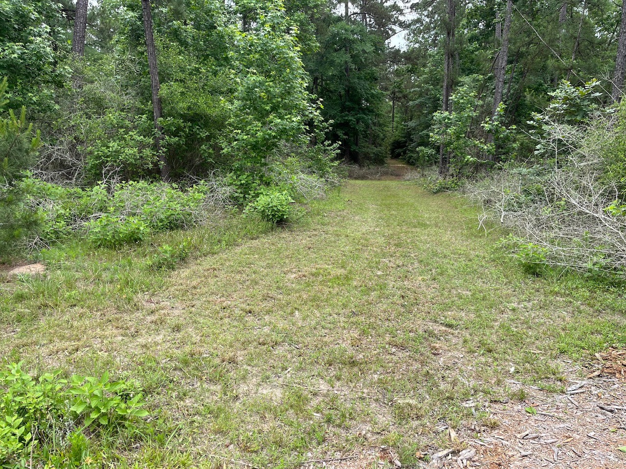 11544 Inspiration Drive Property Photo 2