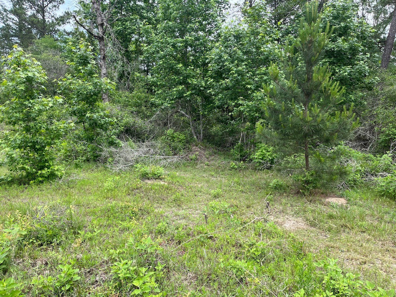 11544 Inspiration Drive Property Photo 3