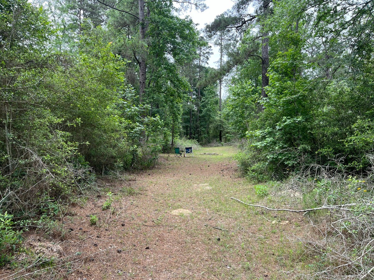 11544 Inspiration Drive Property Photo 9