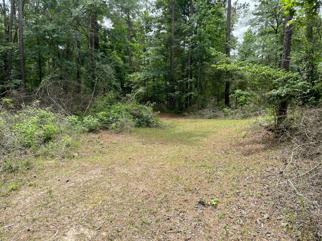 11544 Inspiration Drive Property Photo 12
