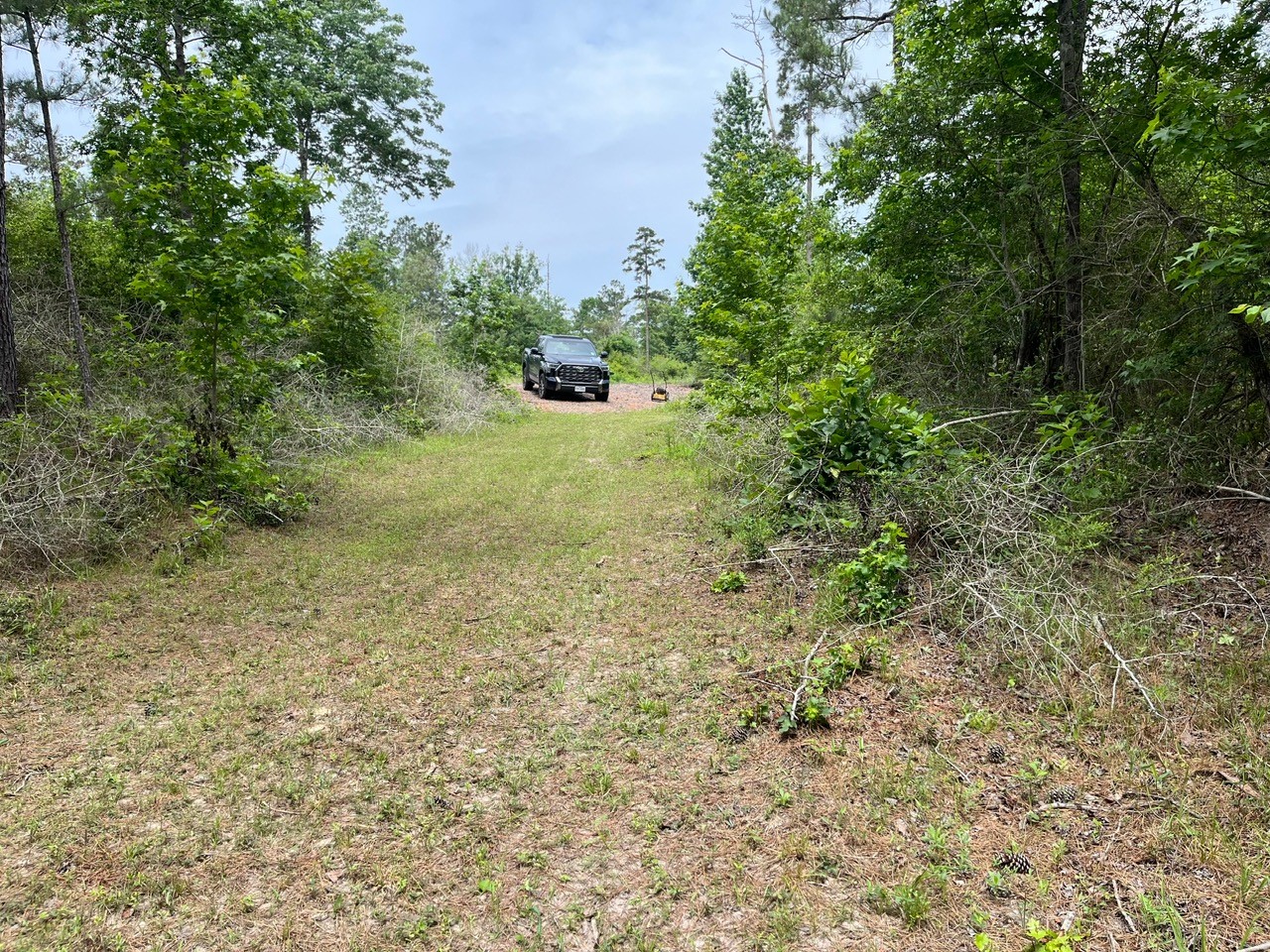 11544 Inspiration Drive Property Photo 13
