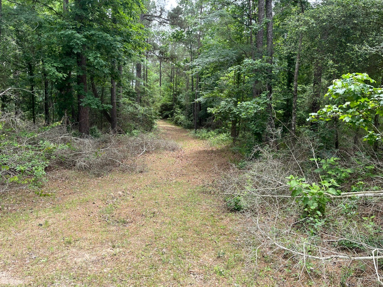 11544 Inspiration Drive Property Photo 14