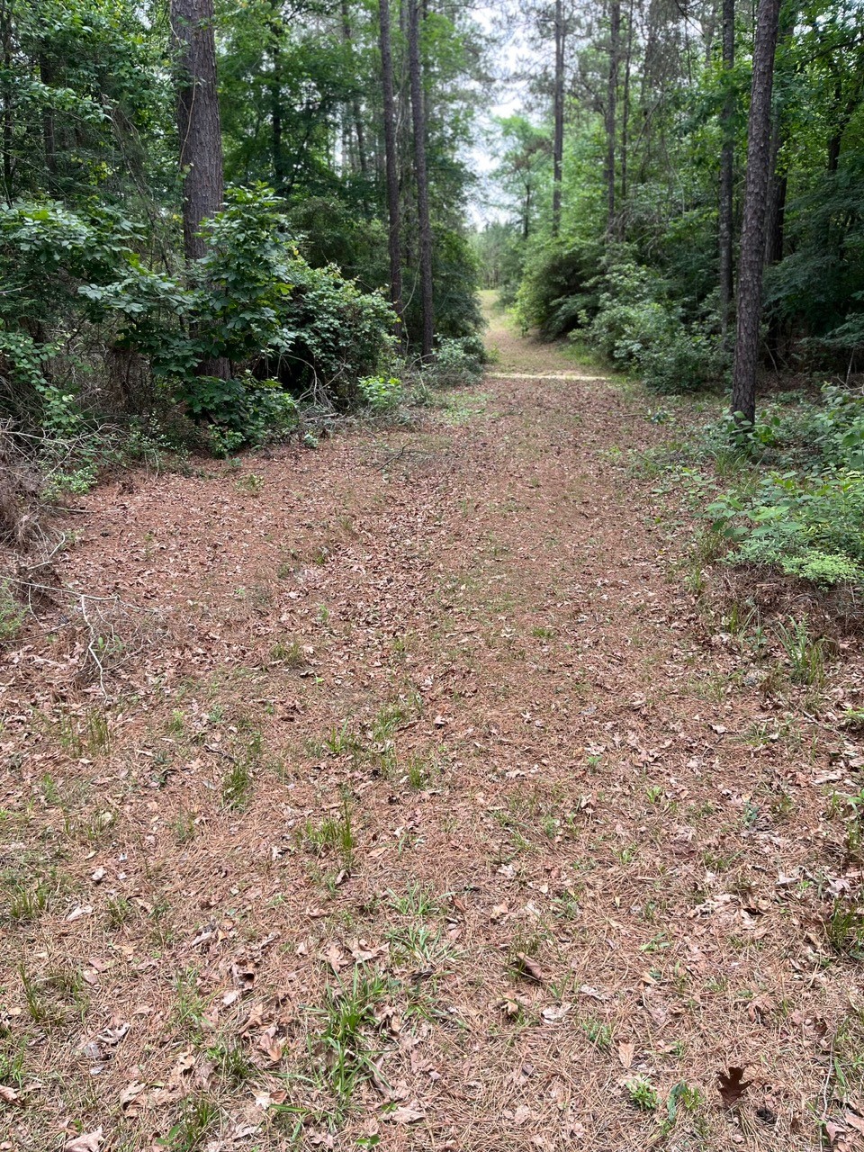 11544 Inspiration Drive Property Photo 16