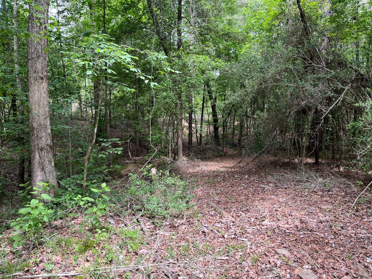 11544 Inspiration Drive Property Photo 18