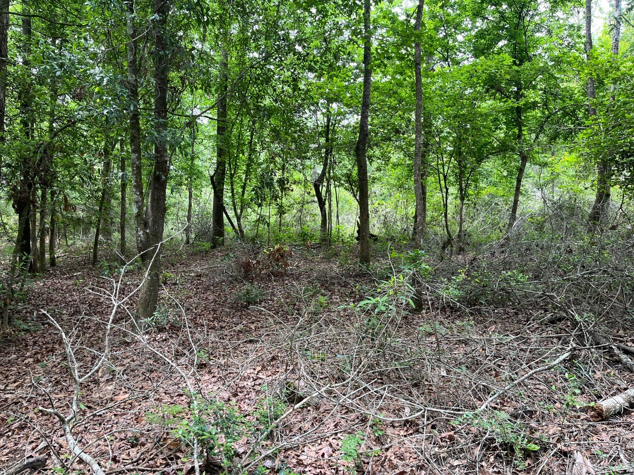 11544 Inspiration Drive Property Photo 20