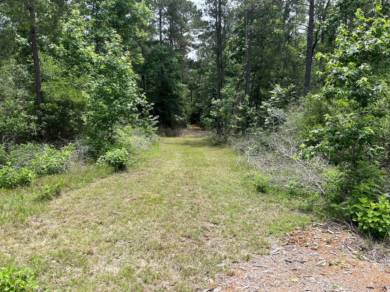 11544 Inspiration Drive Property Photo 22