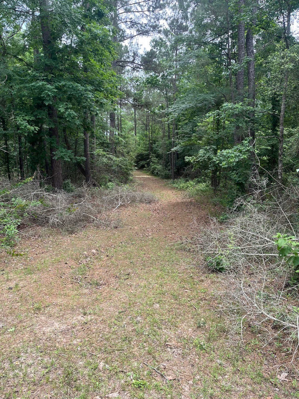 11544 Inspiration Drive Property Photo 23