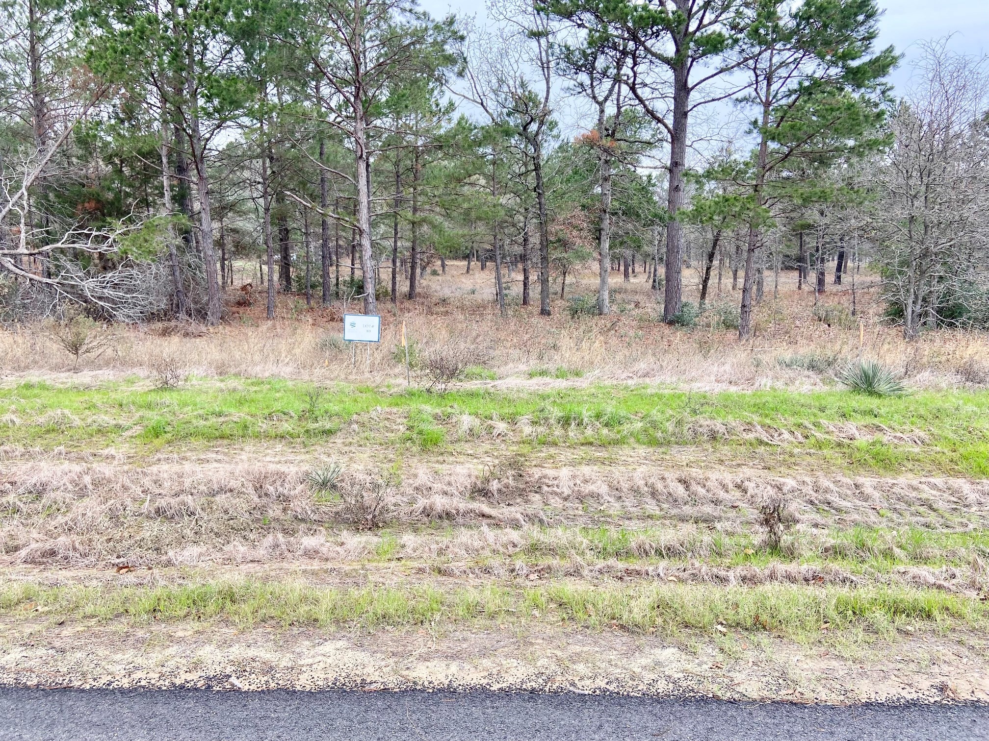 3729 Pine Wood Way Property Photo 13