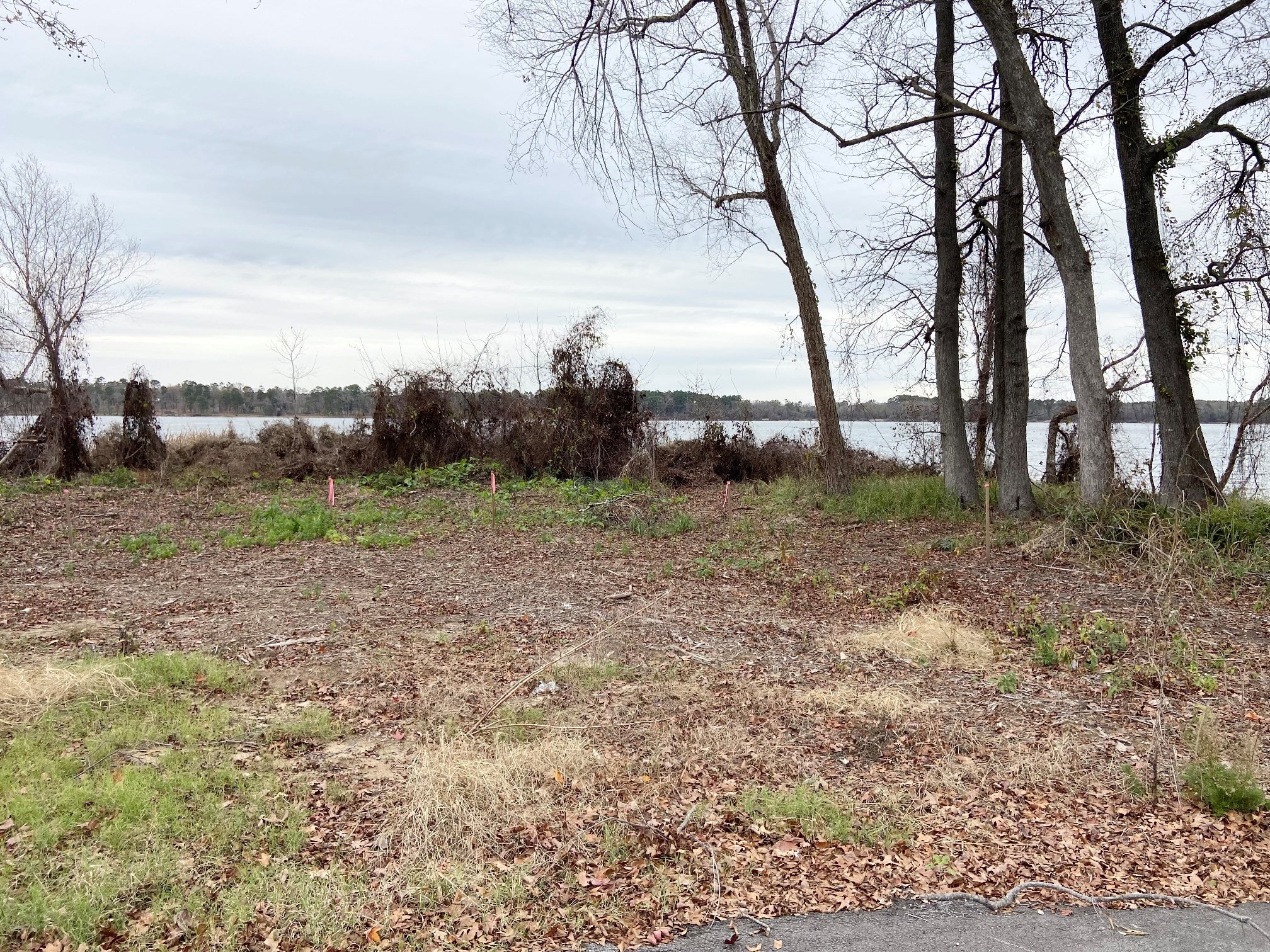 3729 Pine Wood Way Property Photo 21