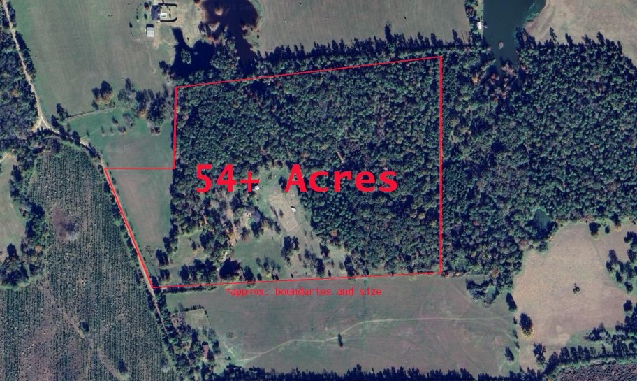3902 Moore Cemetery Road Property Photo 1