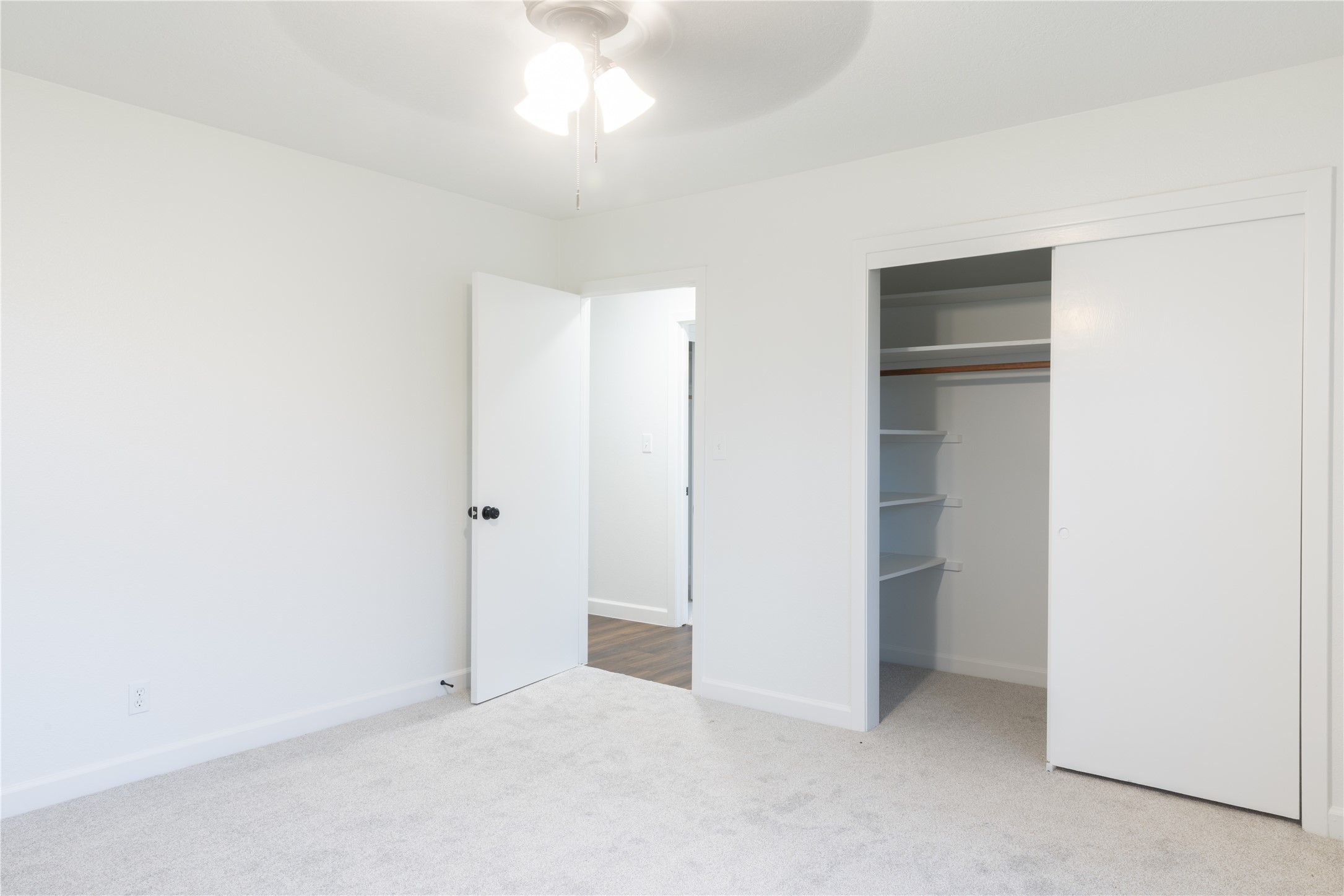 1003 Carlee Drive Property Photo 16