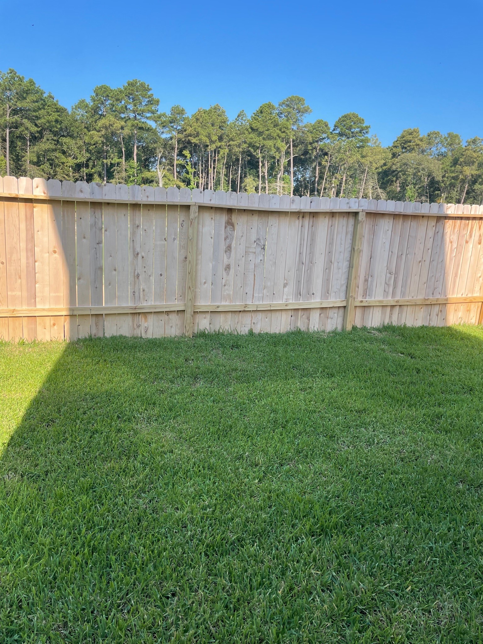 3654 Duplet Avenue Property Photo 12
